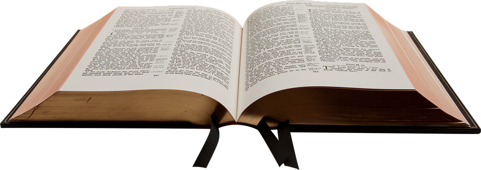 Geannuleerd – Bijbelcursus met dr. Tjaard Barnard